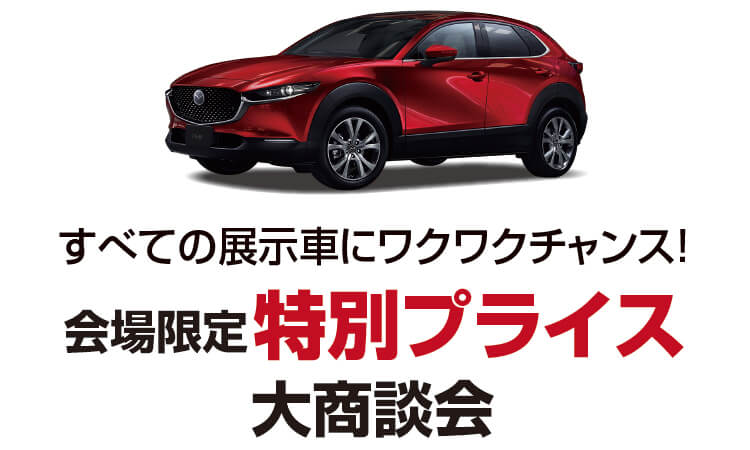 特別プライス,会場限定,商談